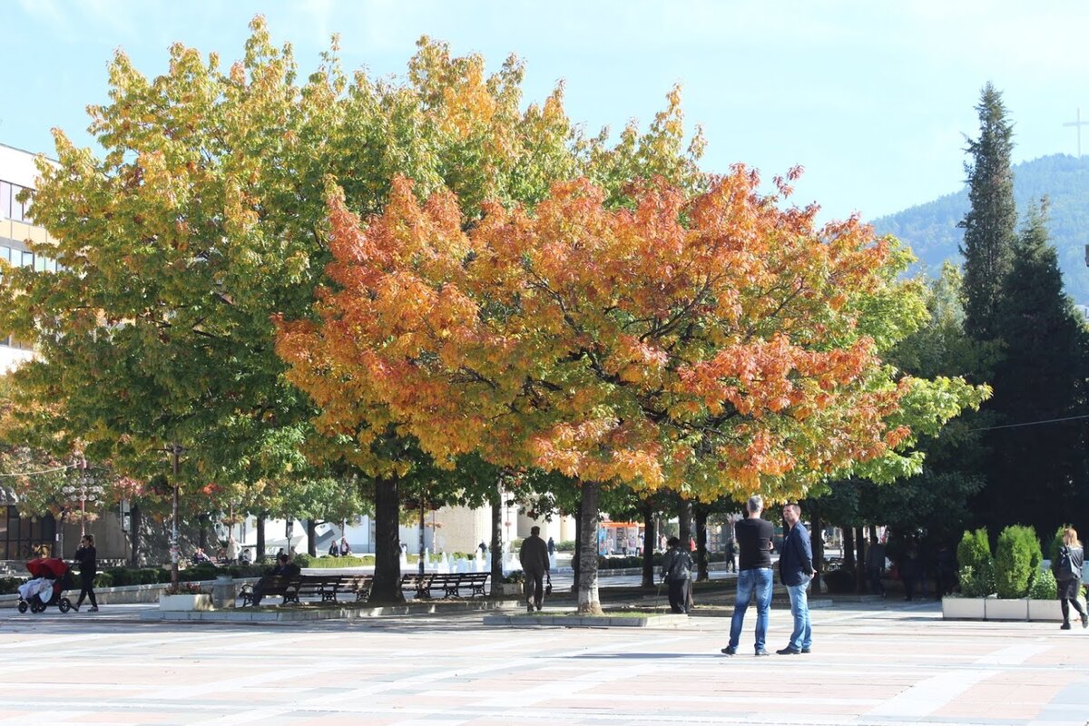 В Болгарии, например, нет золотой осени. Кому-то авокадо трудно найти, а я вот увидела - нет такого периода, когда деревья все красивые и осенние. У всех своё время, какое-то уже сбросило листву, какое-то - желтое, а некоторые вообще не собираются готовиться к зиме. На фото - октябрь в Благоевграде. 