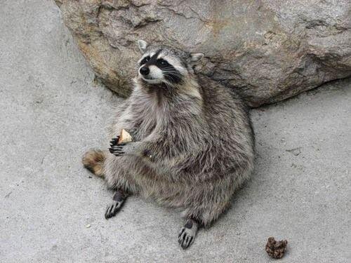 Люди добрые...