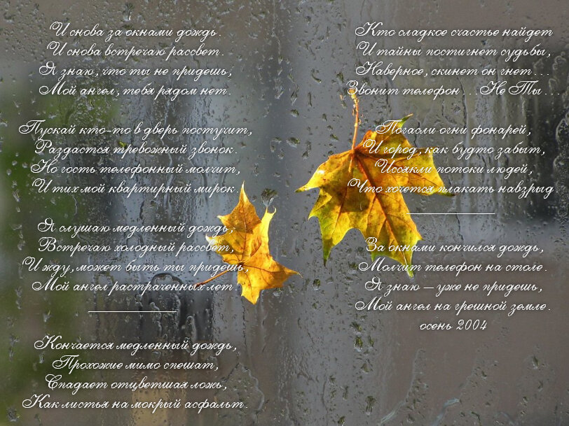 Лев агни. Лев агни
