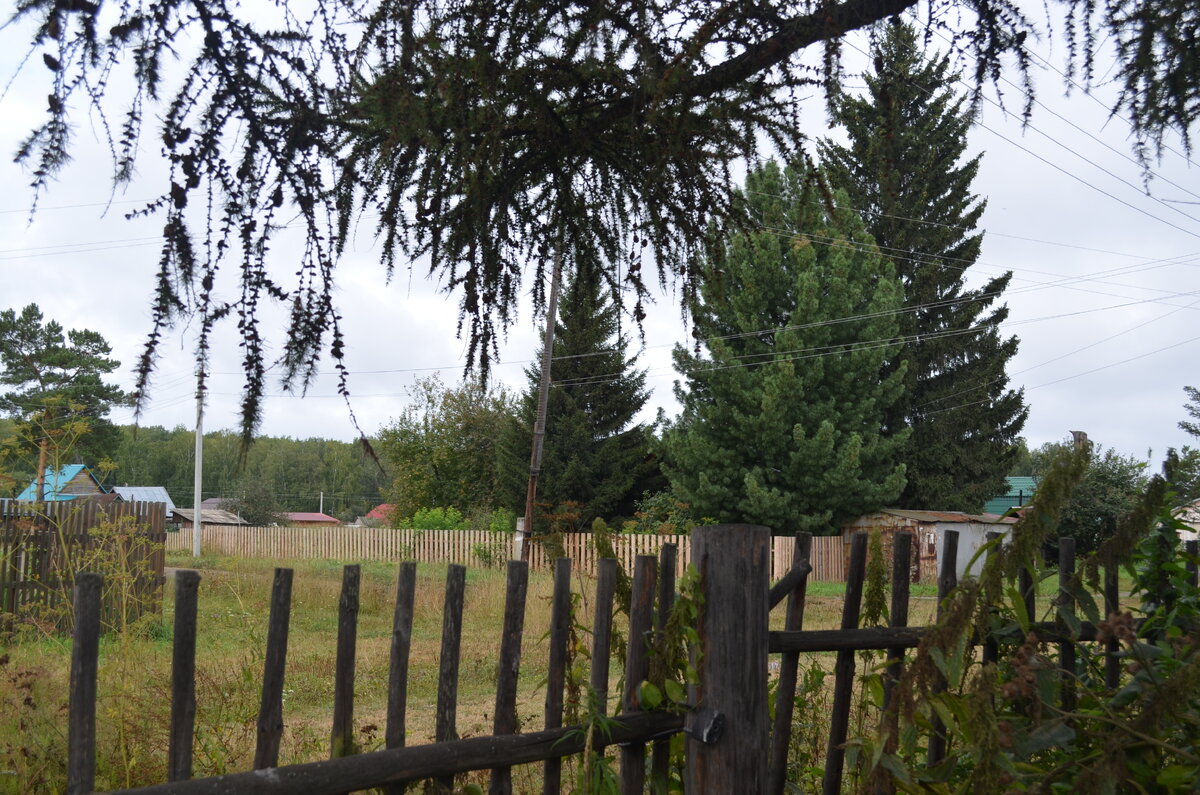 Деревенская жизнь