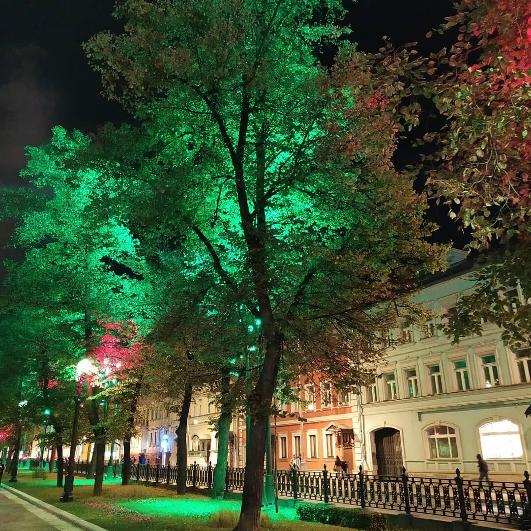Бульвары, деревья, красота. Фото из собственного архива