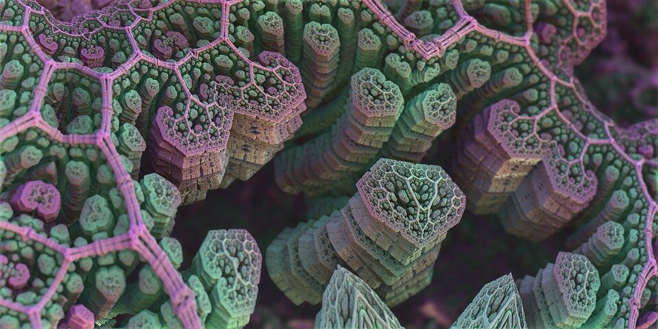  https://cdn.pixabay.com/photo/2016/06/29/21/11/spores-1487802_960_720.jpg