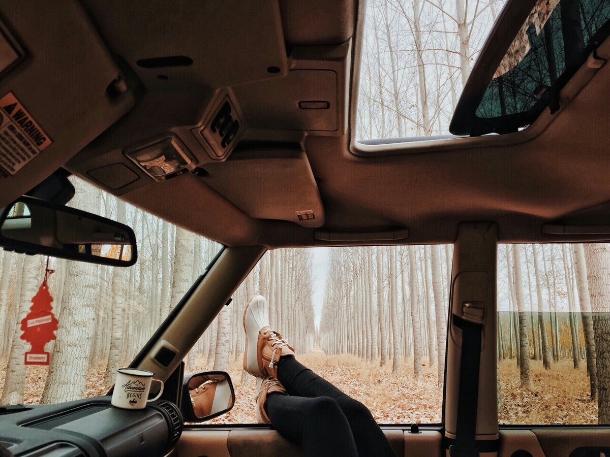 Отдых в осеннем лесу