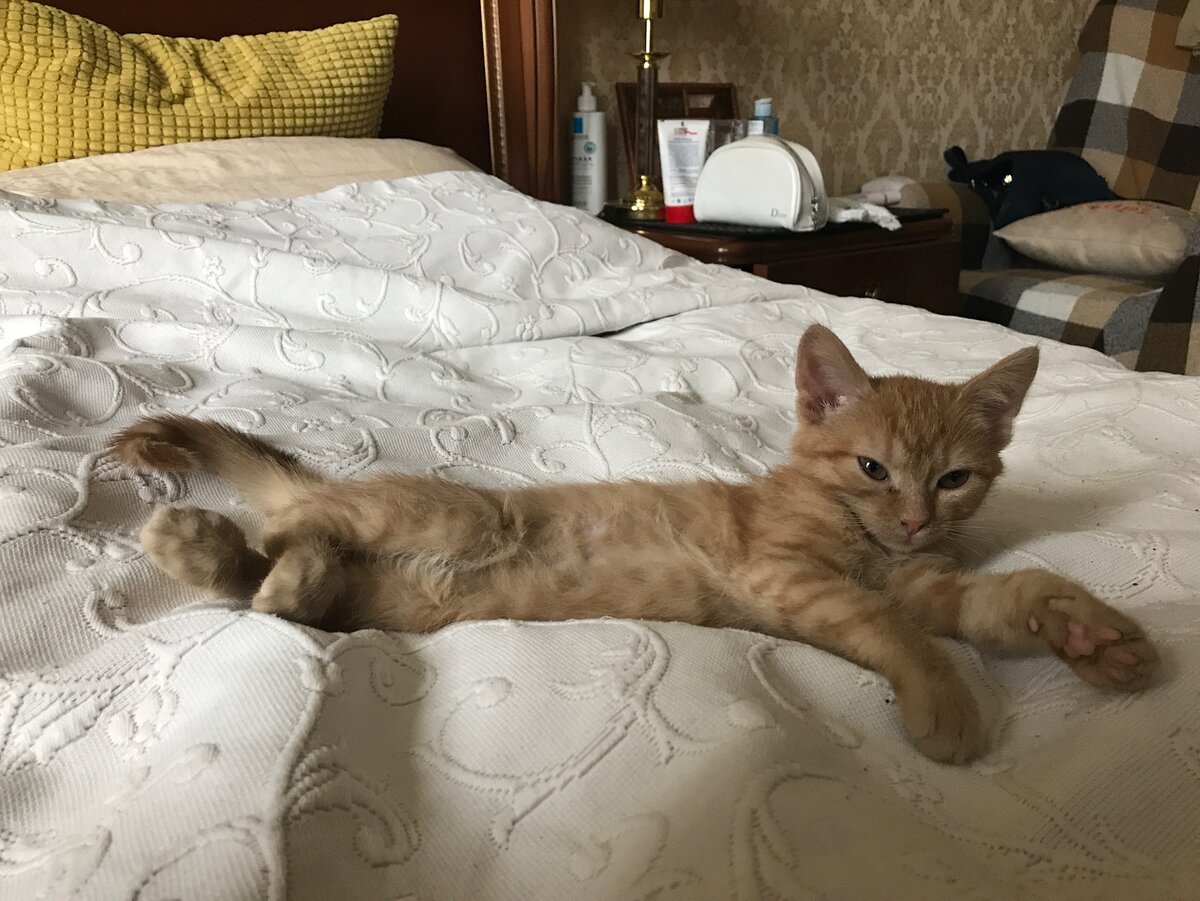 Крошка Габи