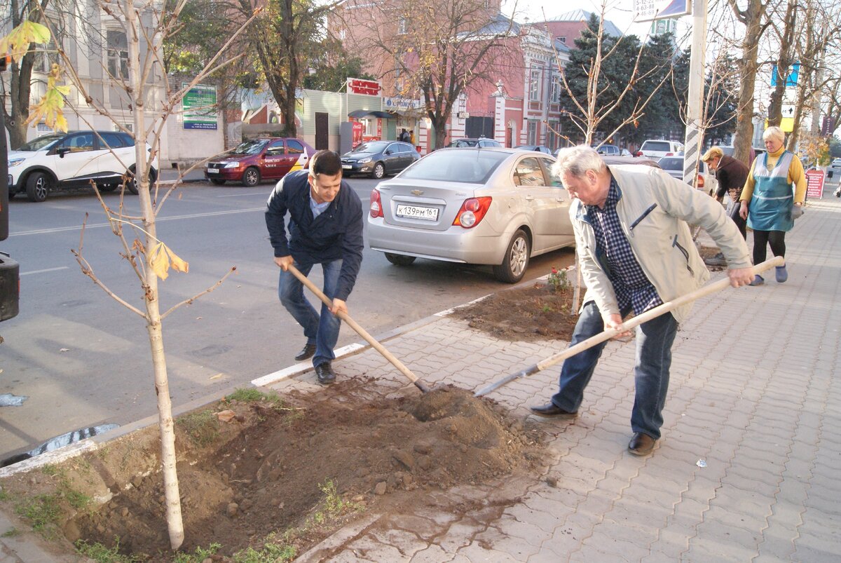 Азов – это наш родной город, и только сообща мы можем сделать его еще более красивым и зеленым