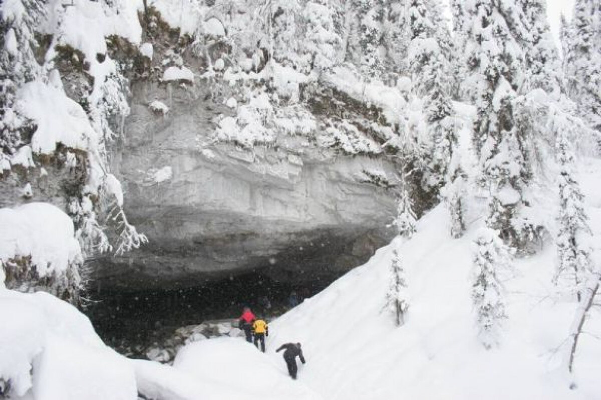 Источник: themoscowtimes.com