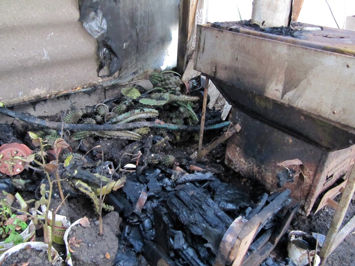 очаг возгорания - стопка сухих дров в ящике