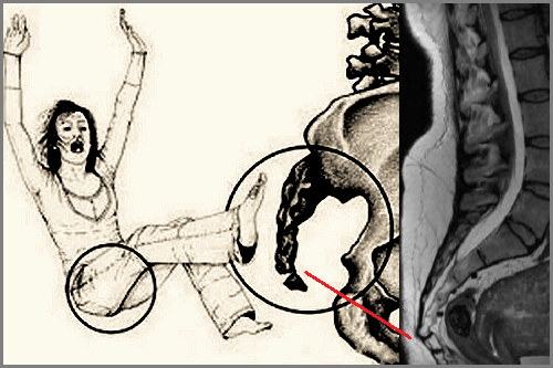 яндекс картинки