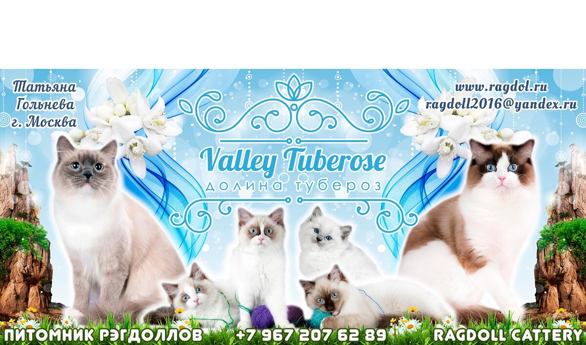 Наше название. Его мы  сами выбираем. Не должно быть ещё такого же, оно должно быть уникальное. 