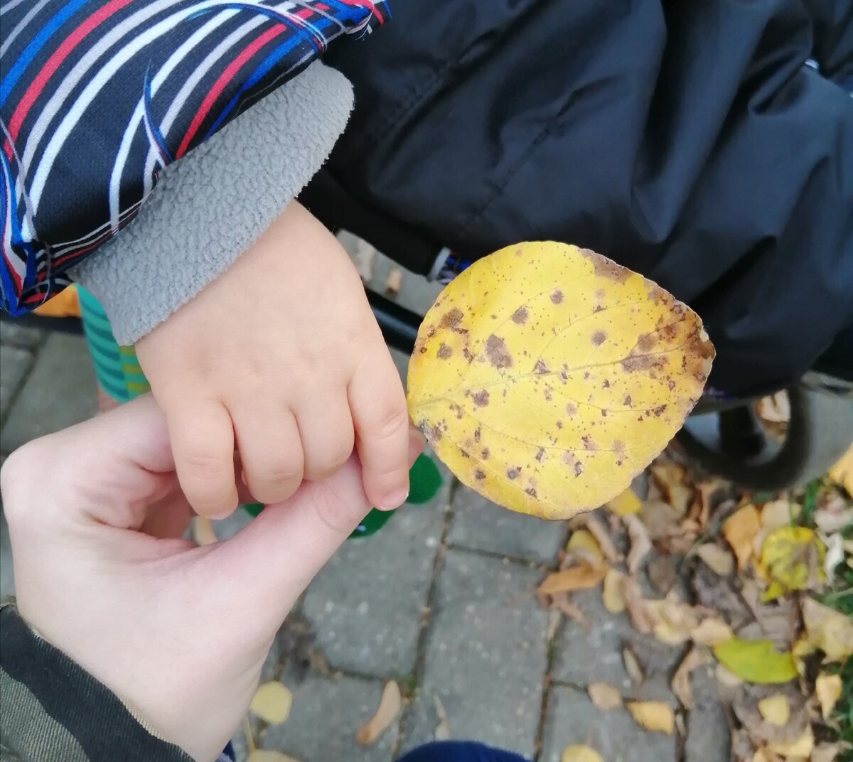 Из личного архива