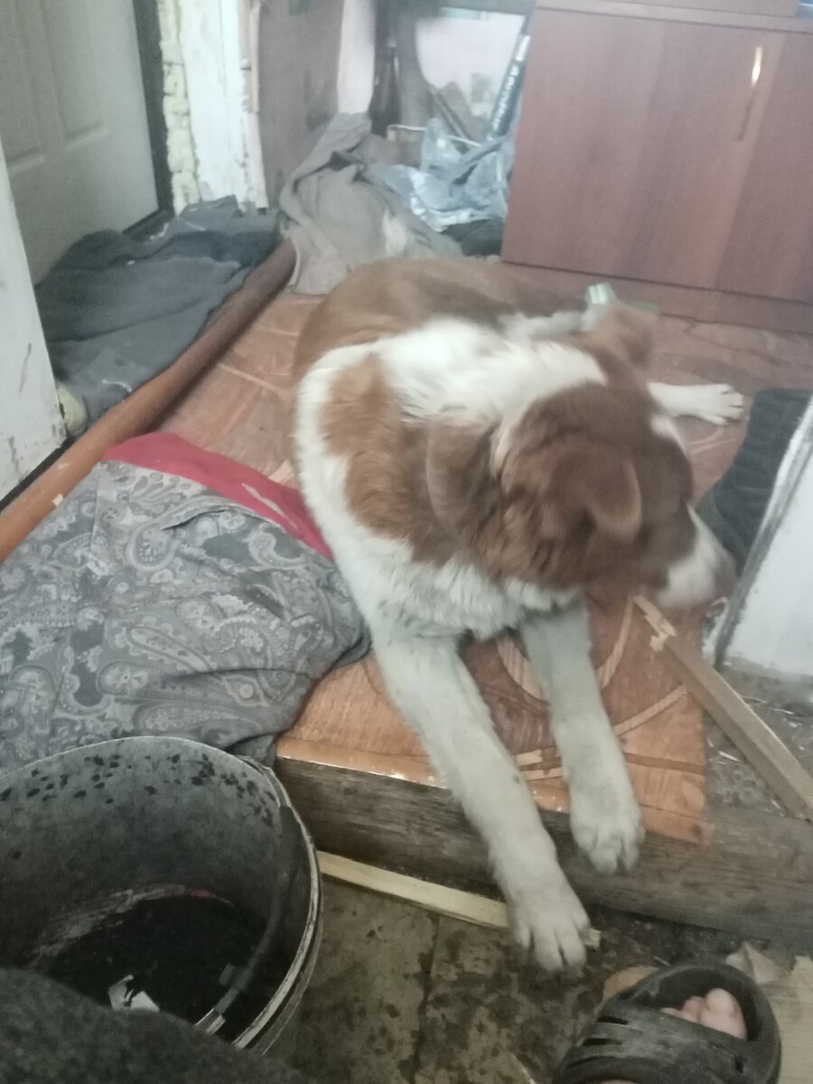 авторское фото