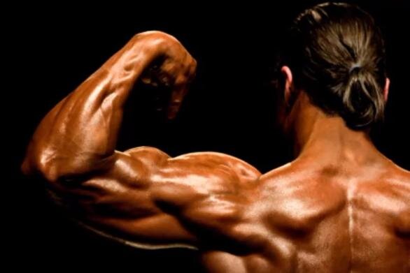 fitness-pro.ru