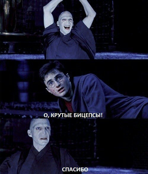 Фитнес-зал "Запретный лес"