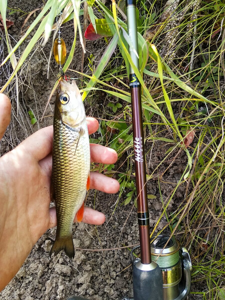 Рыбалка в городе!