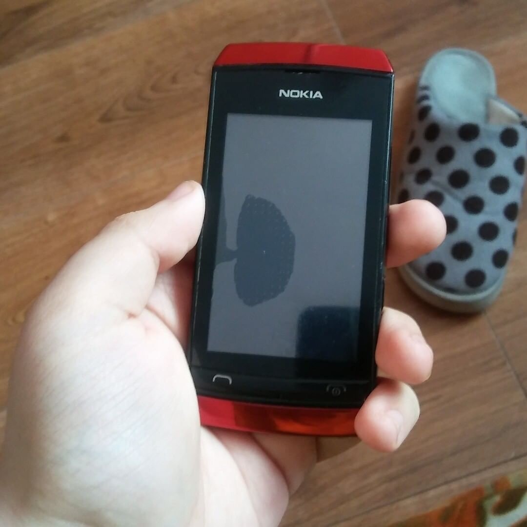 Серия телефонов Nokia Asha. Часть 1 | Кнопочные телефоны Rarephones.ru |  Дзен