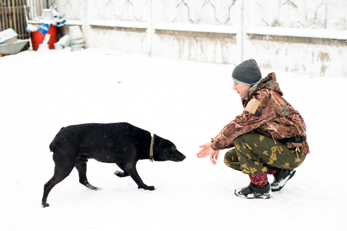 Приучаем Хайди