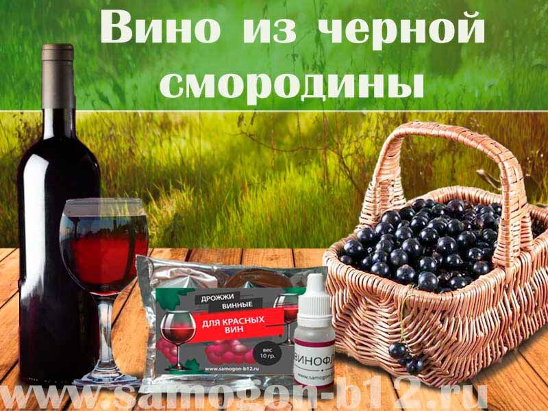 Оригинальное вино из чёрной смородины - © Самогонъ-Б12