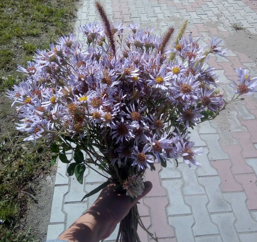 Важна не цена, а ценность букета. Это благодарность Учителю. Фото из личного архива коллег и друзей автора.