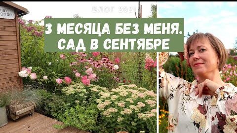 Я удивилась, когда вернулась в свой сад через 3 месяца! Аленин сад в сентябре