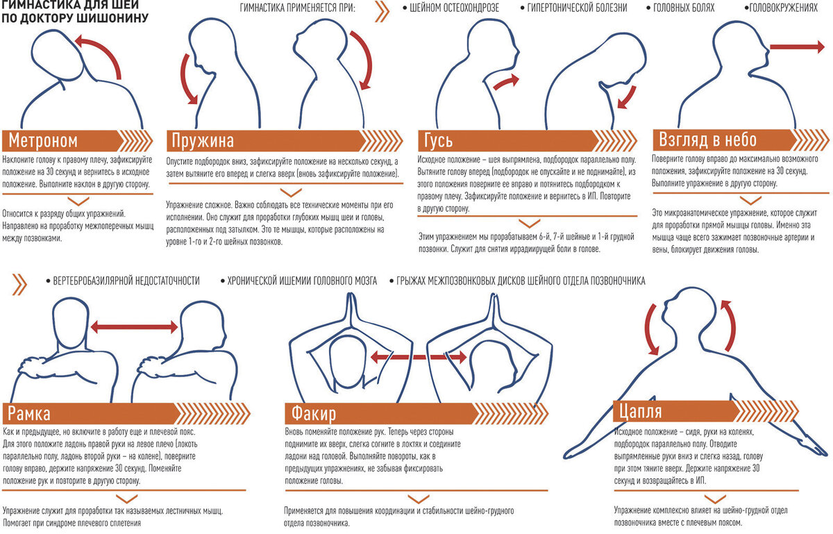 Гимнастика для шеи доктора Шишонина: 9 упражнений для профилактики  гипертонии | Павел Корпачев | Дзен