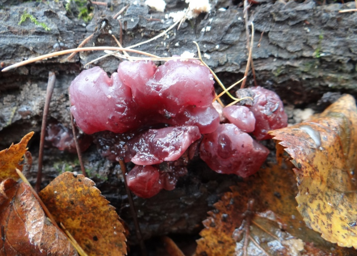 Фото: Марина Привалова