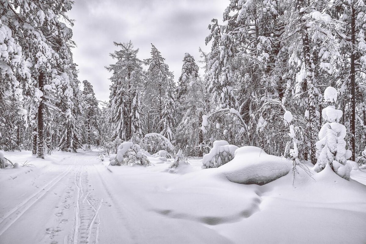 Фото — photocentra.ru