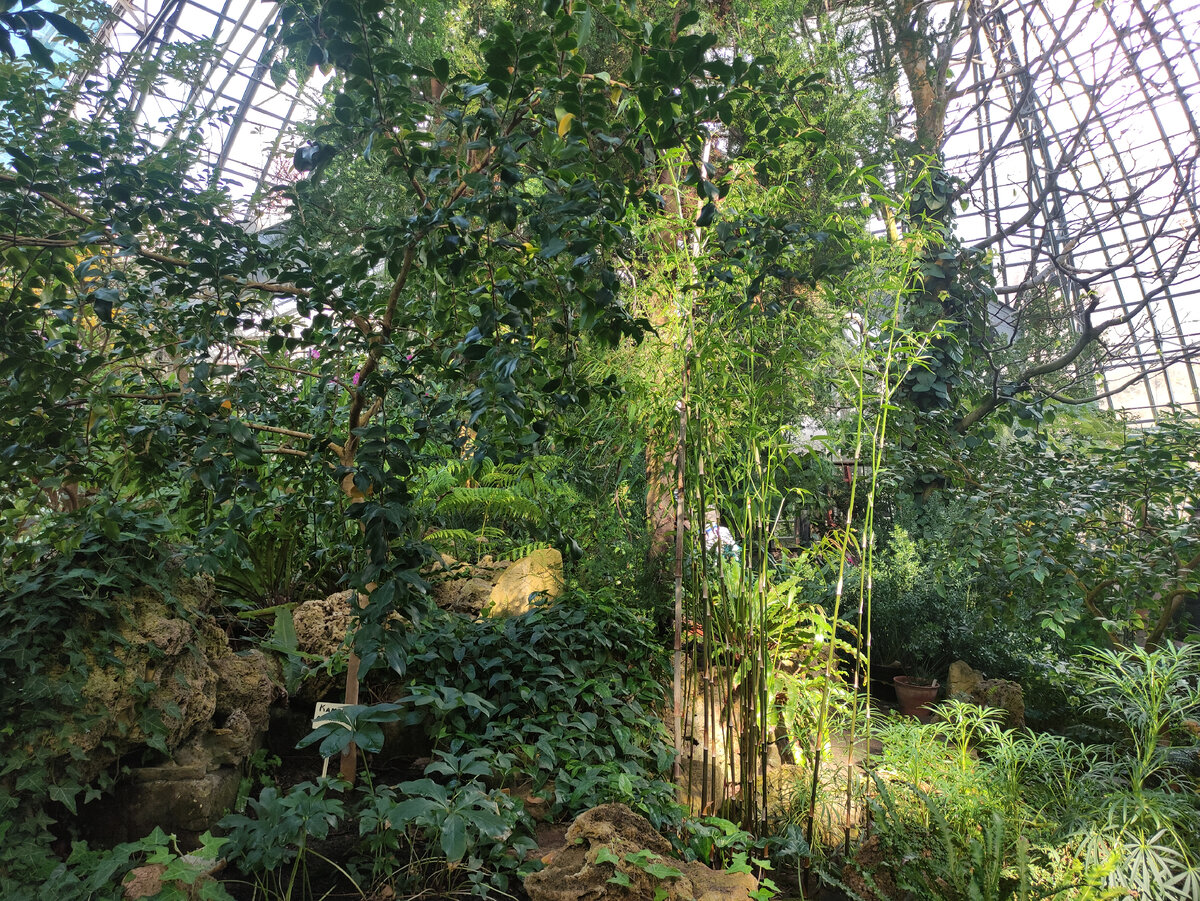 Ботанический сад СПб.