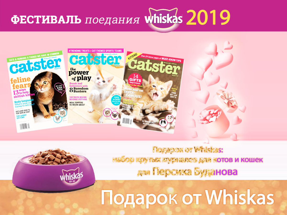 Подарок от Whiskas: набор крутых журналов для котов и кошек для Персика Буданова. Фестиваль поедания Whiskas 2019.