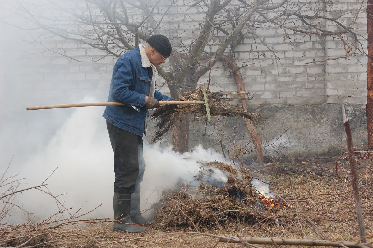 Сжигание мусора и сухой травы