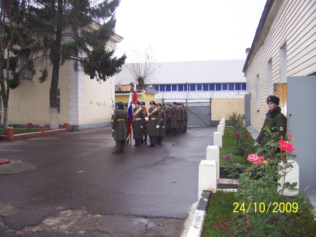 Розы цветут