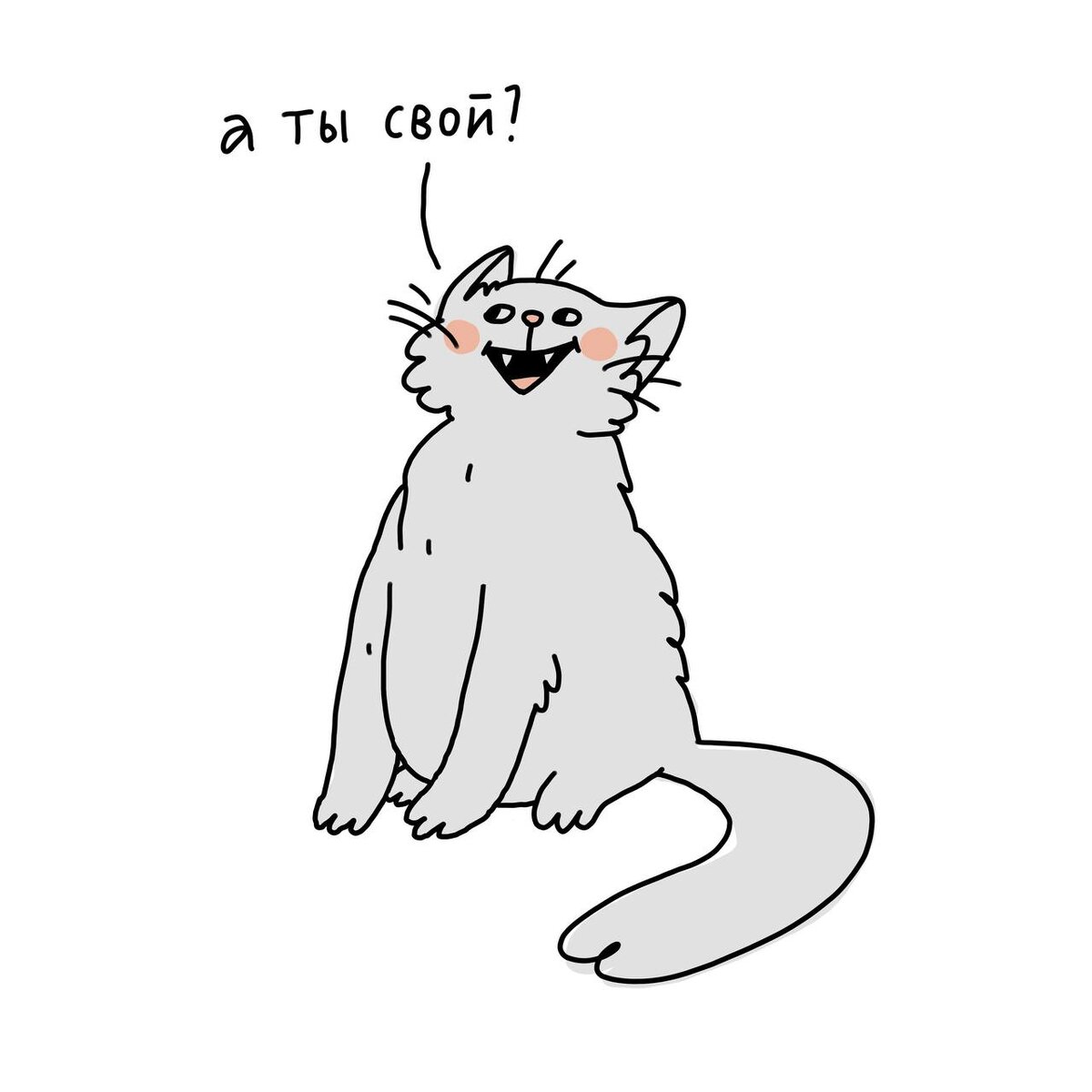 кот и математика. котики мур мур. реши коте. кот учитель. учитель математики котик.