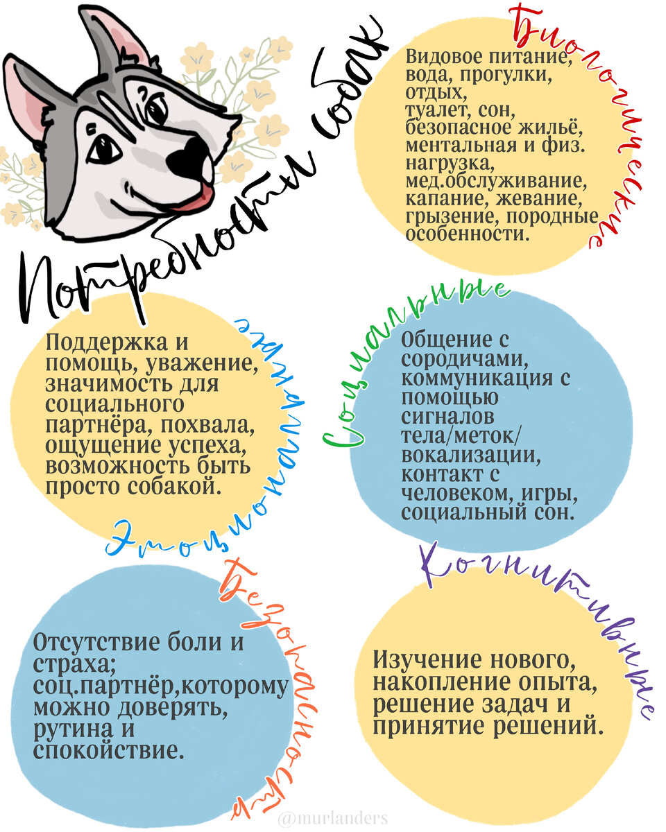 Регулярные прогулки и физическая активность