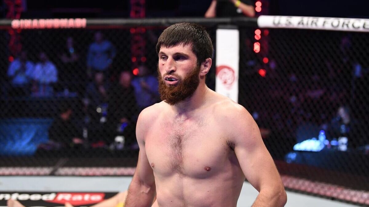    Магомед Анкалаев© Фото : UFC/Zuffa LLC