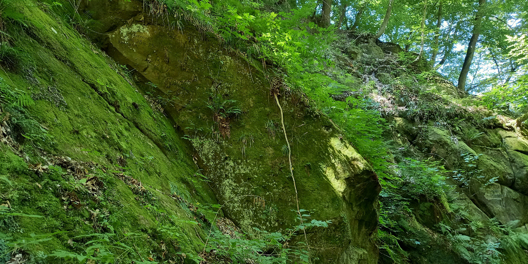 Изюминка Горячего Ключа - Дантово ущелье