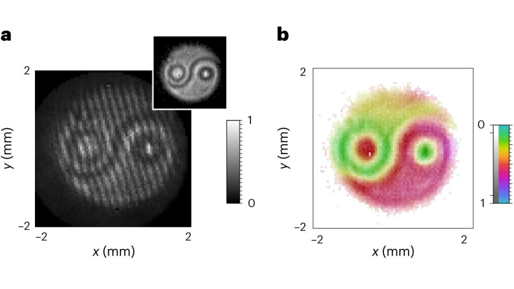    Фото: Danilo Zia et al./Nature Photonics, 2023