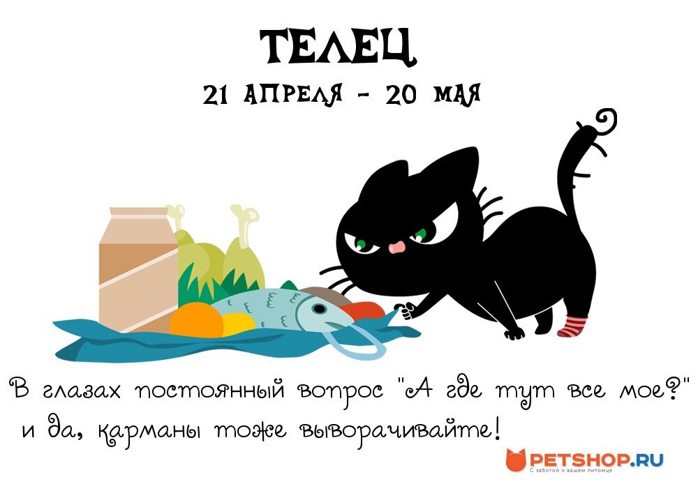 Какой ты котик. Кошачий гороскоп. Шутки про Тельцов. Гороскоп с котами. Гороскоп для котят