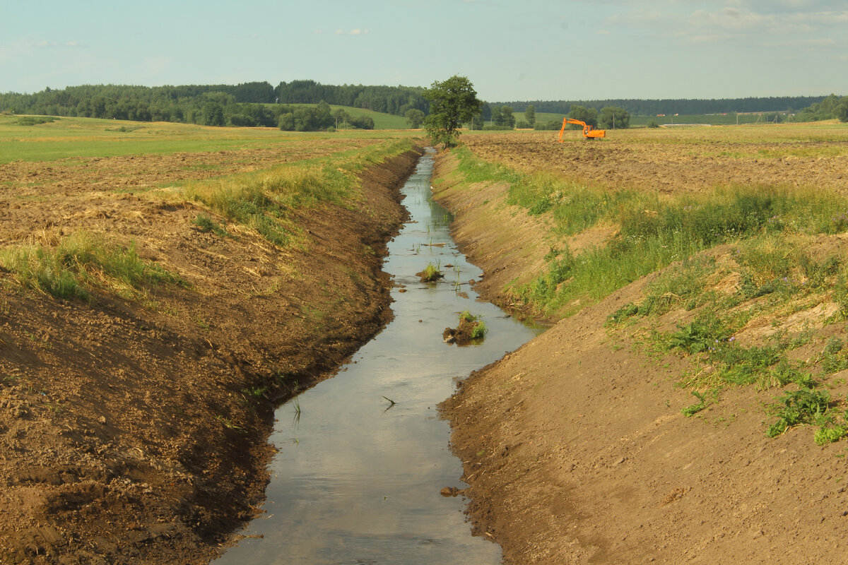 Фото моего привычного июньского маршрута