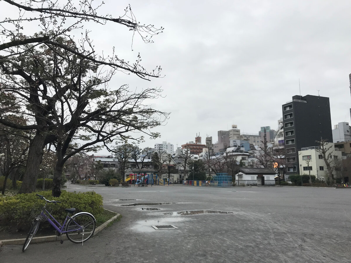  Мой райончик.