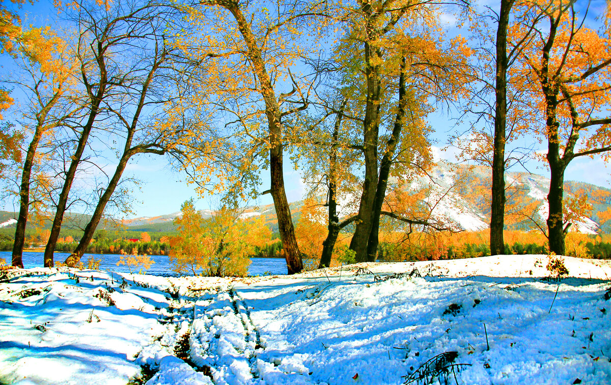 Фотография, стихотворение Василия Глуцкого