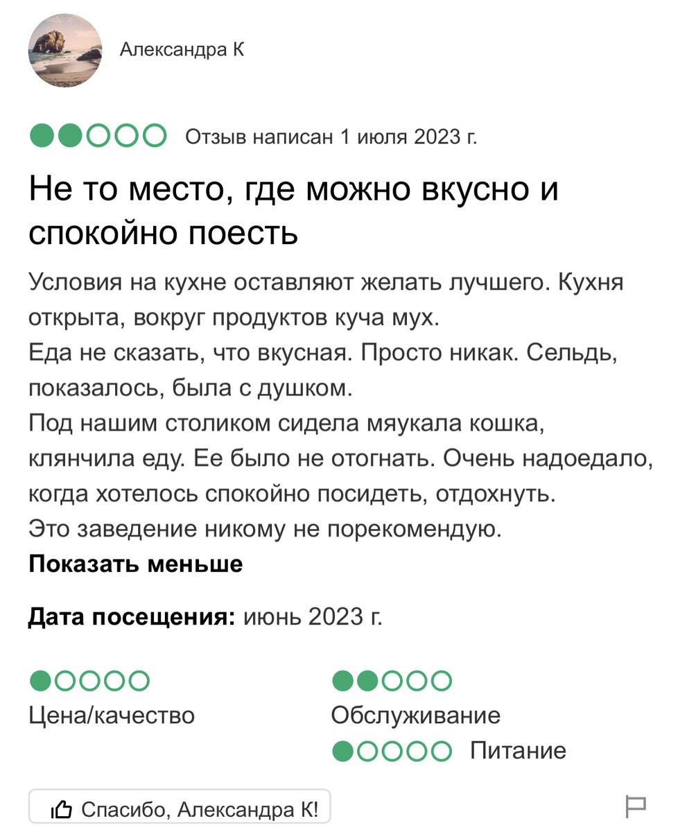 Не всегда стоит верить отзывам, а понимать куда идёшь-всегда! О кафе  «Ялтинский Дворик» | Крути баранку! | Дзен