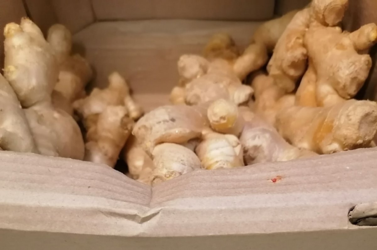    Врач Абдуллина рассказала, кому нельзя есть много имбиря