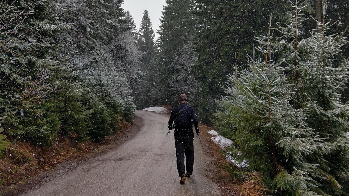    фото: Shutterstock/Fotodom.ru