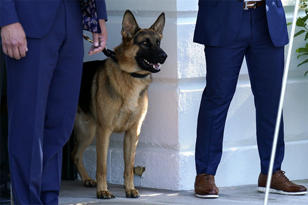    Маньяк по кличке Коммандер.