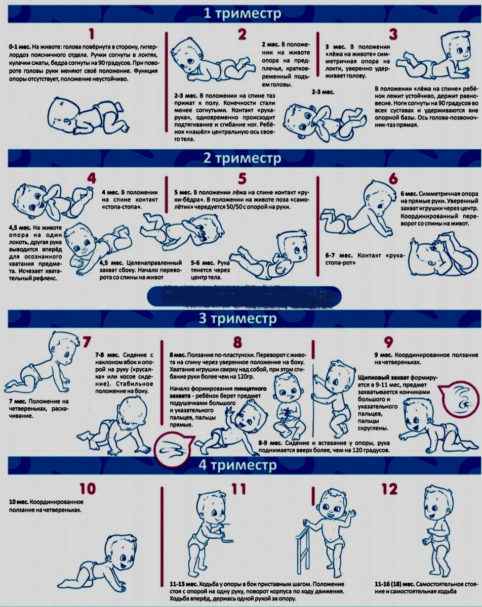 Сводная таблица двигательного развития ребенка на первом году жизни |  Осознанное материнство | Дзен