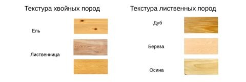  Популярные породы дерева