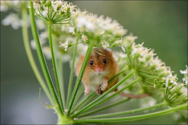 Фото которые радуют глаз