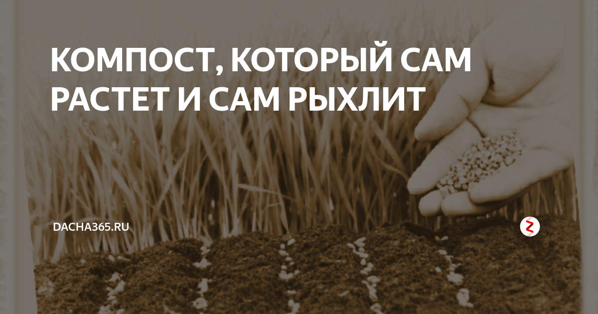 Спокойно кладите больную ботву и яблоки в компост. Просто добавьте одно удобрение