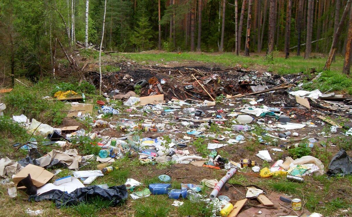 фото: svoyakolokolnya