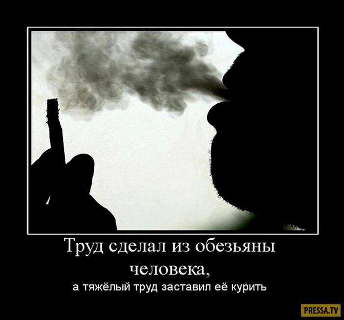 Делать труд. Труд из обезьяны сделал. Только труд сделал из обезьяны человека. Работа сделала из обезьяны человека. Труд сделал из человека.
