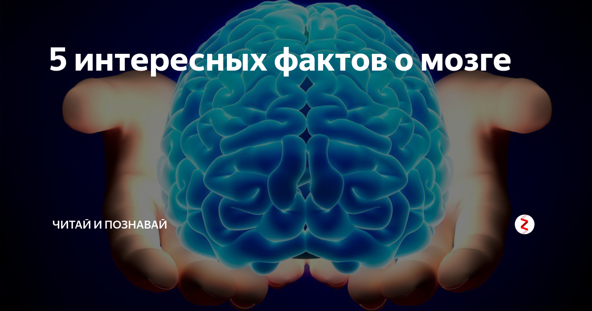 Нейрохакинг. Наш мозг обманывает. Как наш мозг нас обманывает. 10 Интересных фактов о нашем мозге